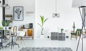 Seguro para Loft