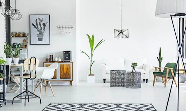 Seguro para Loft